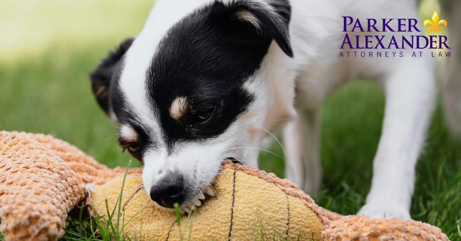 dog biting toy